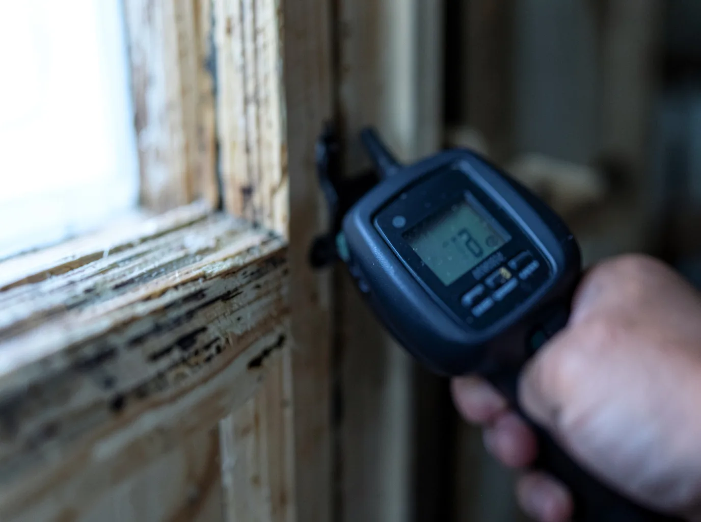 Moisture Inspection And Documentation in Roann, IN